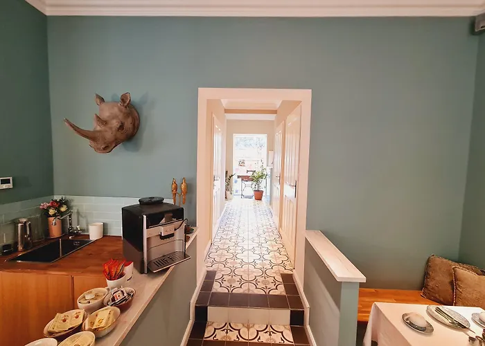 Friedrich Knittelfeld